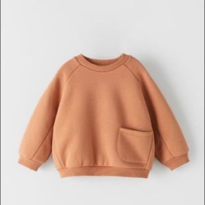 Zara Caramel Sweatshirt Size 3/4 Yrs.